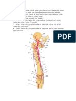 Arteri Femoralis Adalah Istilah Umum Yang Terdiri