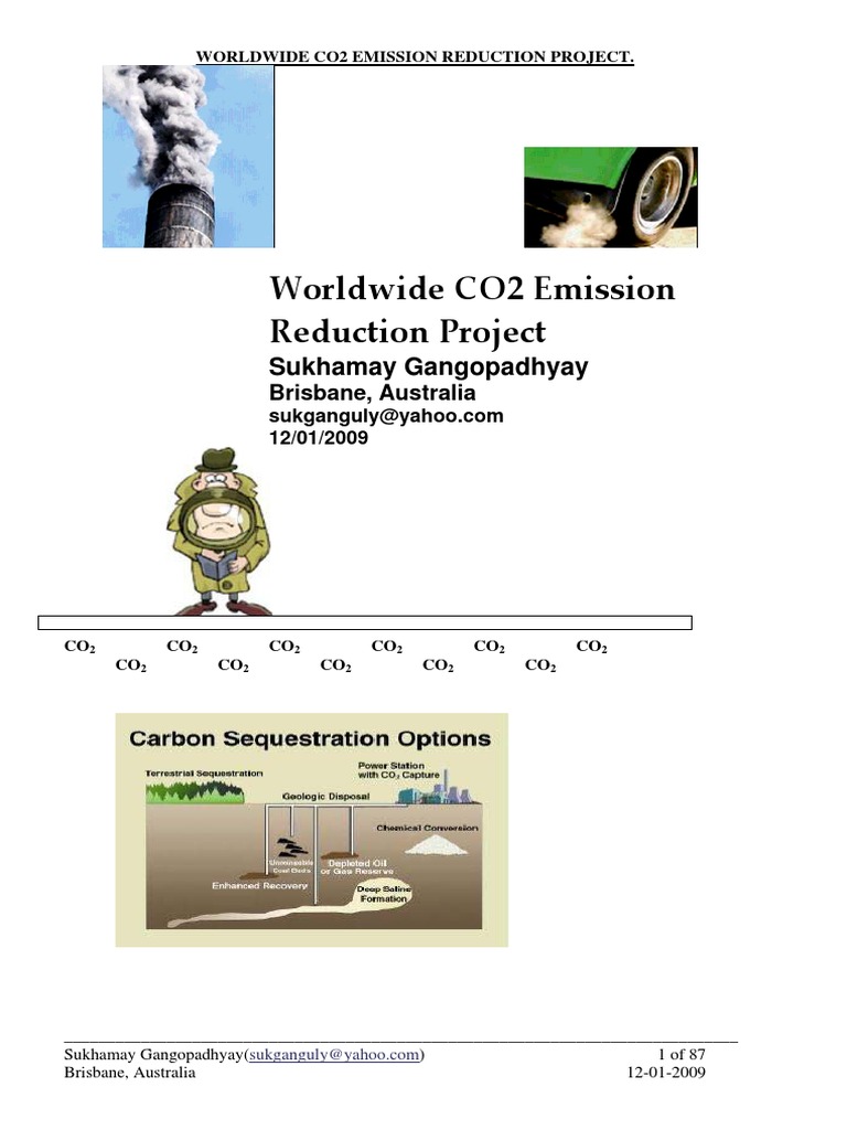 Worldwide CO2 Emission Reduction Project | PDF | World Energy ...