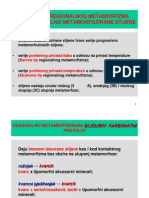 PMM 17 +metamorfiti Klasifikacija Nomenklatura B