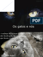 A Vida Secreta Dos Gatos