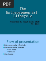 The Entrepreneurial Lifecycle