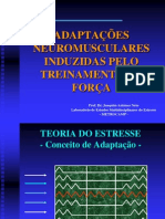 aula.adaptações neuromusculares