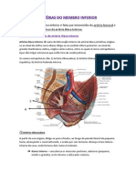 Irrigação membro inferior artérias ilíaca femoral poplítea