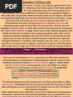 Download Online Lab Dragon Genetics  Punnetts Square by AmandaSherman SN2064369 doc pdf