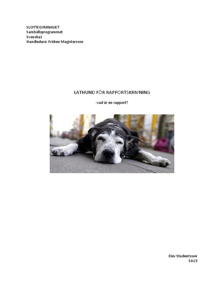 lathund för rapportskrivning