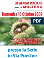 locandina castagnata