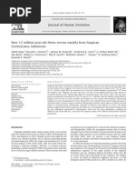Download 15 Million Homo Erectus Jaw Sangiran 4 by Popa Constantin SN206472387 doc pdf