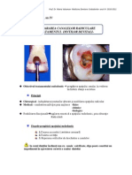 Curs 10-Endodontie