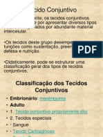 Tecidos Conjuntivos: Características e Funções