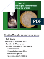 Genética de Neurospora crassa