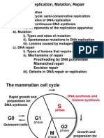 Dna Mutation 3