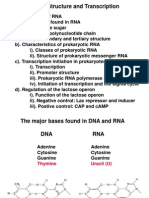 Rna Structure  and Transcription