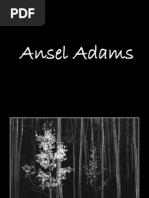 Literature and Photography in Transition, 1850-1915 | PDF ...
