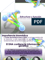 Estructura y Función Del Ácido Nucleico