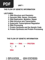 Flow of Genetic Information 1