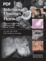 Download Infectious Diseases of the Horse by Buurc Ioan SN206648389 doc pdf