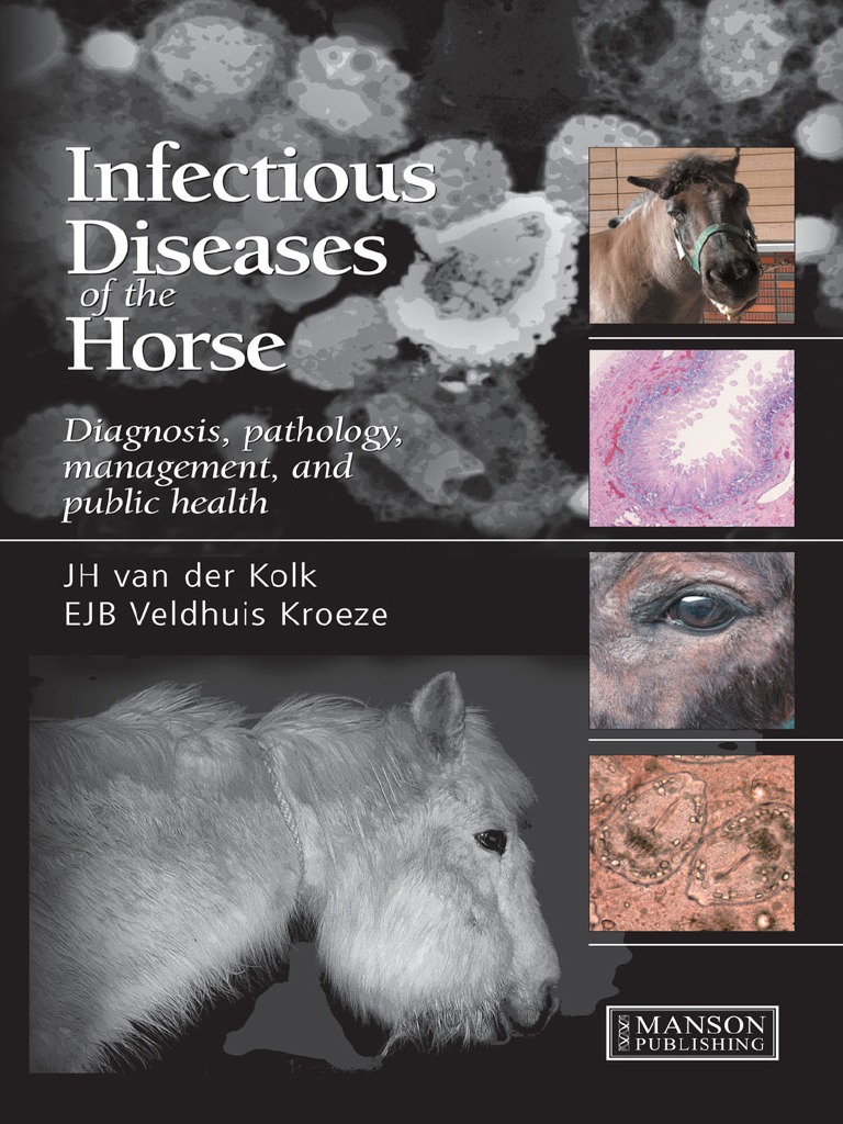 Infectious Diseases of the Horse Infection Public Health