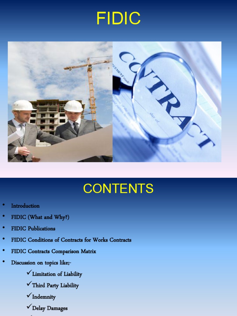 FIDIC Contracts Overview and Guidelines | PDF | Indemnity | General ...