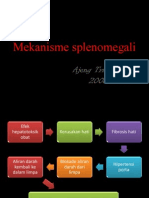 Mekanisme Splenomegali