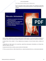 MUSCULOS DEL ABDOMEN.pdf