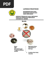 Download LAPORAN BORAKS by Sigit Satria Putra SN206664178 doc pdf