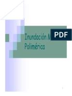 6-Inundacion_Micelar_Polimerica