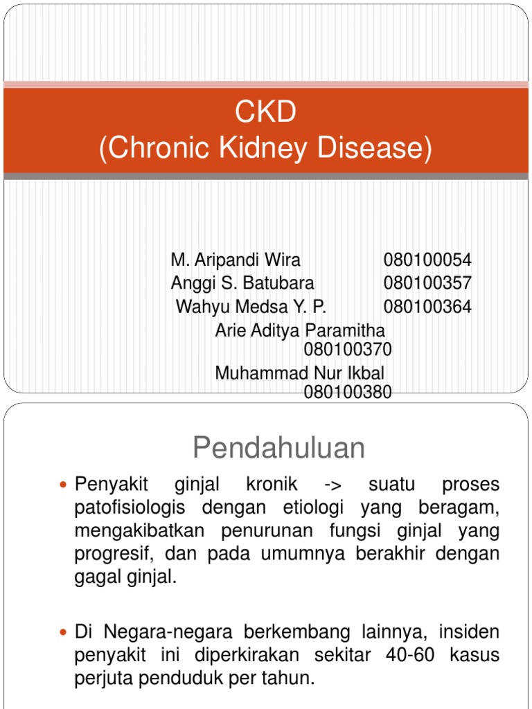 CKD | PDF