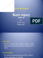 Burn Injury Report