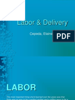Labor & Delivery: Cepeda, Elaine F