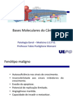 Patologia Geral Aula 18 Bases Moleculares Do Cancer 2