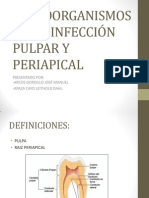 MICROORGANISMOS EN LA INFECCIÓN PULPAR Y PERIAPICAL