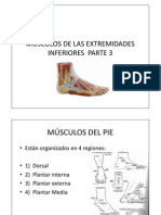 Músc Extremidades Inf Parte 3