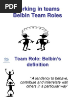 Belbin Team Roles