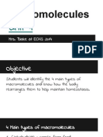 Macromolecules Presentation