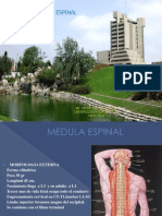 Med - Espinal 13 I
