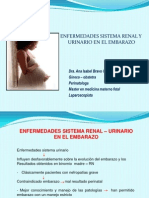 enfermedadesdelsistemarenal-28febrero2013-130312164955-phpapp02