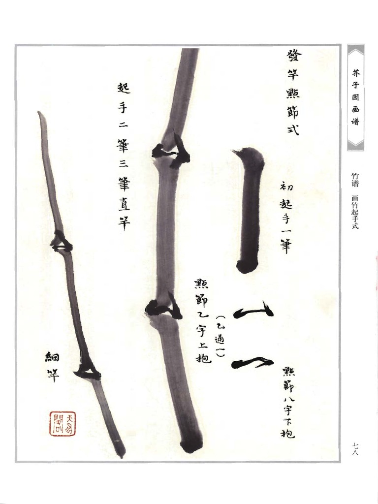芥子园画谱第二集梅兰竹菊》中| PDF