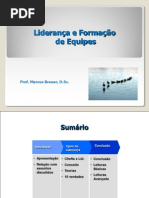 liderança e formação de equipes Brauer