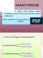 Sistem Saraf Pinggir