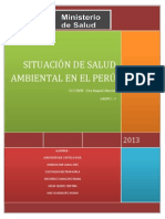 Situación de Salud Ambiental en El Perú - Grupo 7