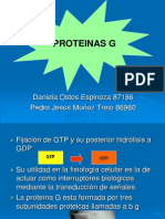 Proteínas G: estructura, clasificación, funciones y su importancia en la transducción de señales