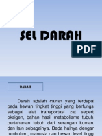 Darah