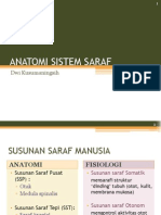 Anatomi Sistem Saraf