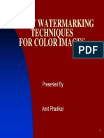 Robust Watermarking Techniques