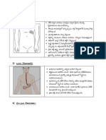 Funtions of Internal Organs 2