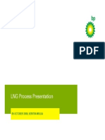 LNG Process Presentation