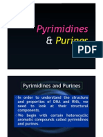Purine & Pyrimid