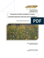 Evaluación de cultivos energéticos 2013