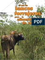 Forraje Ganado Lechero (Leucaena-Madero Negro-Marango)