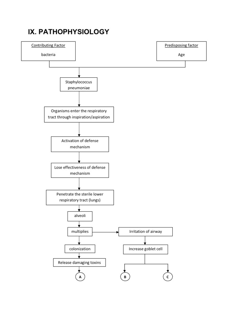 Aspiration pneumonia case study scribd